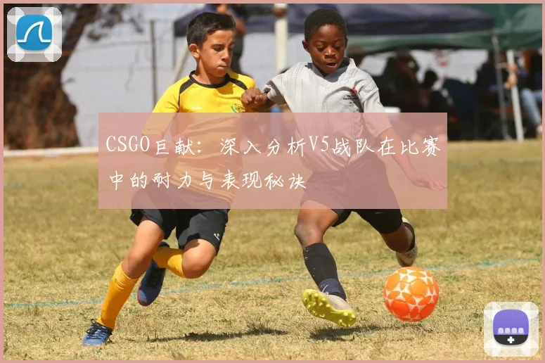 CSGO巨献：深入分析V5战队在比赛中的耐力与表现秘诀