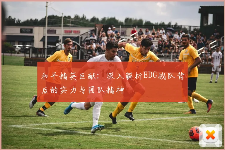 和平精英巨献：深入解析EDG战队背后的实力与团队精神