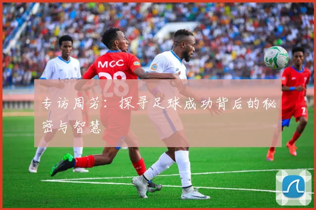 专访周芳：探寻足球成功背后的秘密与智慧